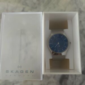 Skagen Blue Dial Silver Band Watch